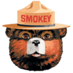 Smokey the Bear called and he wants your hat. So he can set it on fire... in a dry clearing. 