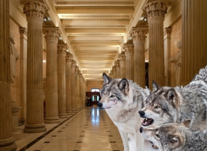 wolf-congress